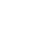Dumis-logo